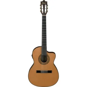 Akční Nabídka Ibanez GA5TCE-AM